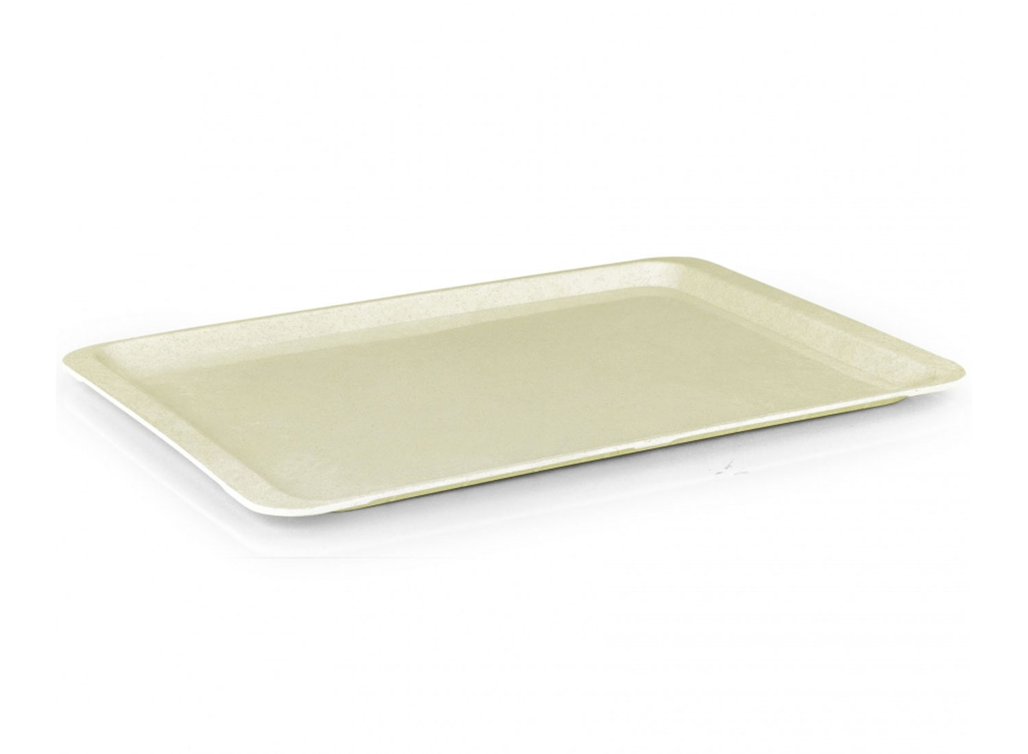 37x53 cm Polyester Tepsi